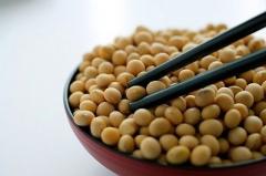 Alimentatia pe baza de soia reduce riscul de a face cancer la san 1