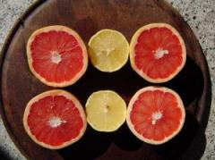 Dieta cu grapefruit 1