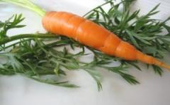 Piure de morcovi pentru bebelusi 1