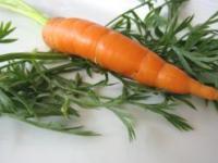 Piure de morcovi pentru bebelusi